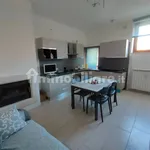 Rent 5 bedroom apartment of 200 m² in L'Aquila