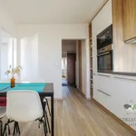 Rent 1 bedroom house in Brno