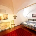 Rent 1 bedroom apartment of 50 m² in Florence