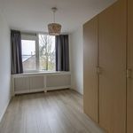 Rent 6 bedroom house of 170 m² in Zeestratenbuurt