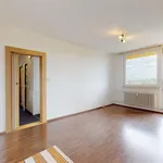 Rent 2 bedroom apartment of 54 m² in Ostrava