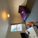 Rent 4 bedroom house in Worcester