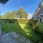 Rent 3 bedroom apartment of 67 m² in Essen