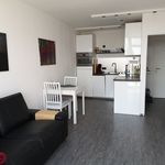 Miete 1 Schlafzimmer wohnung von 41 m² in Cologne
