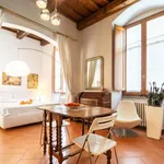 Rent 1 bedroom apartment in Florence