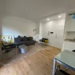 Rent 3 bedroom apartment of 76 m² in Basiglio