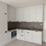 Rent 1 bedroom apartment of 80 m² in Brno