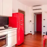 Rent 1 bedroom apartment in Milan