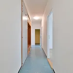 Rent 3 bedroom apartment in Brno