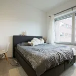 Rent 2 bedroom apartment of 59 m² in Rotterdam