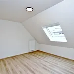 Rent 2 bedroom apartment in HALLE