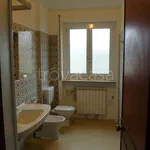 Rent 1 bedroom apartment of 45 m² in Torino