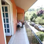 Rent 4 bedroom apartment of 80 m² in Lucca