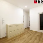 Rent 3 bedroom apartment of 76 m² in Brno