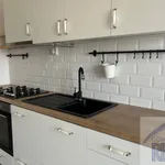 Rent 2 bedroom apartment of 65 m² in Brno