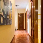 Alquilar 5 dormitorio apartamento en Madrid