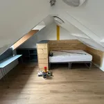 Rent 6 bedroom house in Swansea