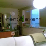 Rent 1 bedroom apartment of 40 m² in Capital City of Prague