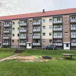 Rent 1 bedroom apartment of 27 m² in Tützpatz