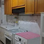 Rent 3 bedroom apartment of 100 m² in Novara