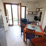 Rent 2 bedroom apartment of 50 m² in Siena