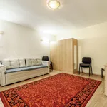 Rent 1 bedroom apartment of 37 m² in Arad