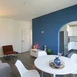 Huur 3 slaapkamer appartement van 70 m² in Den Haag