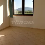 Affitto 2 camera appartamento di 40 m² in Grosseto