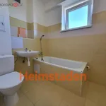 Rent 1 bedroom apartment of 41 m² in Havířov