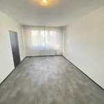 Pronájem bytu 2+1 58m²