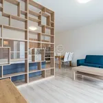 Rent 1 bedroom apartment in Plzeň