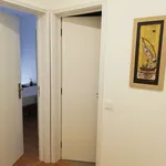 Rent 2 bedroom apartment of 60 m² in Évora