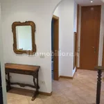 Rent 4 bedroom apartment of 90 m² in Bologna