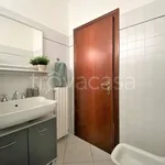 Rent 2 bedroom apartment of 59 m² in Meldola