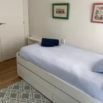 Rent 4 bedroom apartment in Valencia