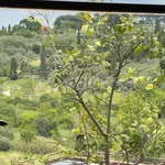 Rent 2 bedroom apartment of 60 m² in Scandicci