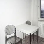 Rent 3 bedroom apartment in Brno