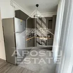 Rent 3 bedroom apartment of 68 m² in Timișoara