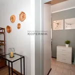 Rent 2 bedroom apartment of 37 m² in Toruń