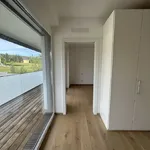 Miete 4 Schlafzimmer wohnung von 150 m² in Weiz