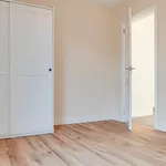 Rent 3 bedroom house in Belfast