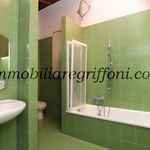 Rent 4 bedroom apartment of 100 m² in Bologna