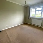 Rent 4 bedroom house in Canterbury