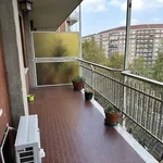 Rent 3 bedroom apartment of 100 m² in Turin