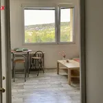 Pronájem bytu 1+1 v osobním vlastnictví 34 m², Chomutov