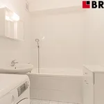 Rent 2 bedroom apartment of 45 m² in Brno