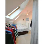 Rent 1 bedroom apartment in Brugge