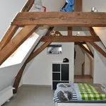 Maison de 157 m² avec 2 chambre(s) en location à Bruges