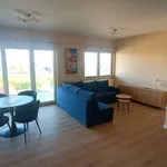 Rent 3 bedroom apartment of 64 m² in Dąbrowa Górnicza