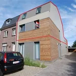 Rent 3 bedroom apartment in MAASEIK